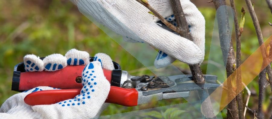 Étude de cas, Entretien d'espaces verts