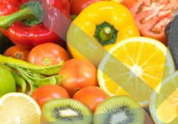 Etude de cas Grossiste en Fruits et Légumes