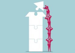 Notre coaching d’équipe et management