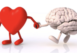 Coacher en « bonne intelligence » ou « se faire coacher en bonne intelligence » ?
