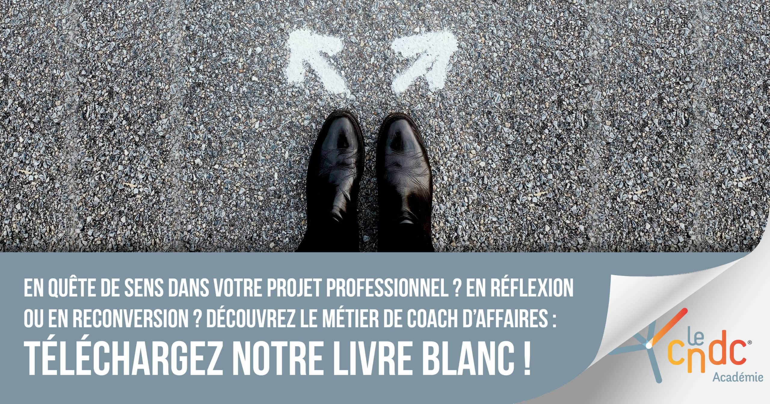 Téléchargez le livre blanc – Devenir coach d'affaires