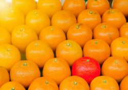 Entrepreneurs et dirigeants, avez-vous bien identifié quelle est votre Proposition Unique de Vente (PUV ) ?