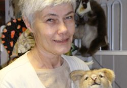 Monique Fetzer, entreprise Anima spécialisée dans la peluche au sud de Strasbourg